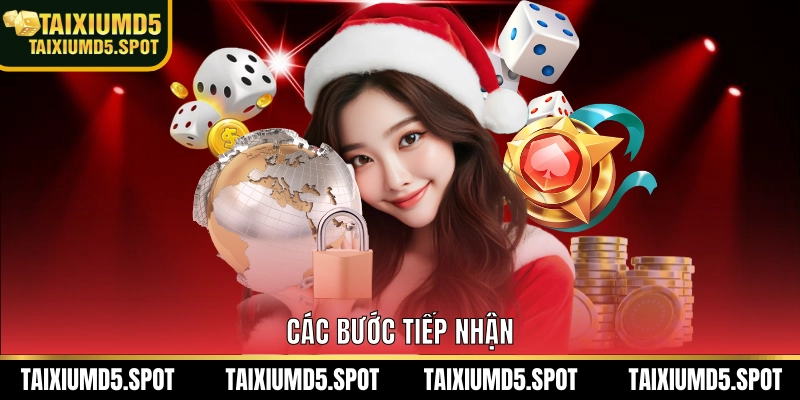 Các bước tiếp nhận