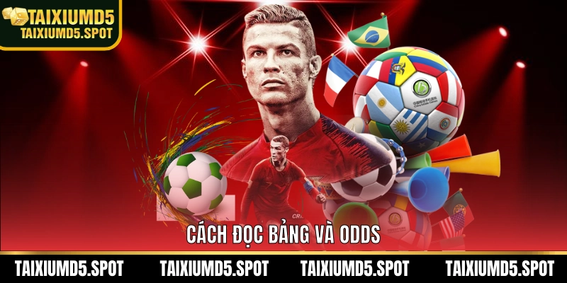 Cách đọc bảng và odds