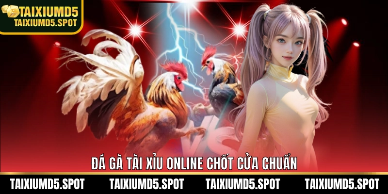 Đá gà Tài Xỉu Online chốt cửa chuẩn