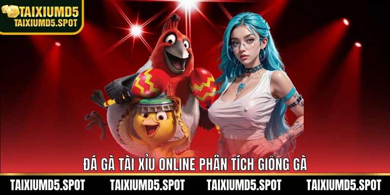 Đá gà Tài Xỉu Online phân tích giống gà