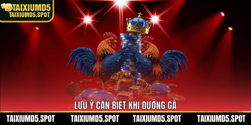 Lưu ý cần biết khi dưỡng gà