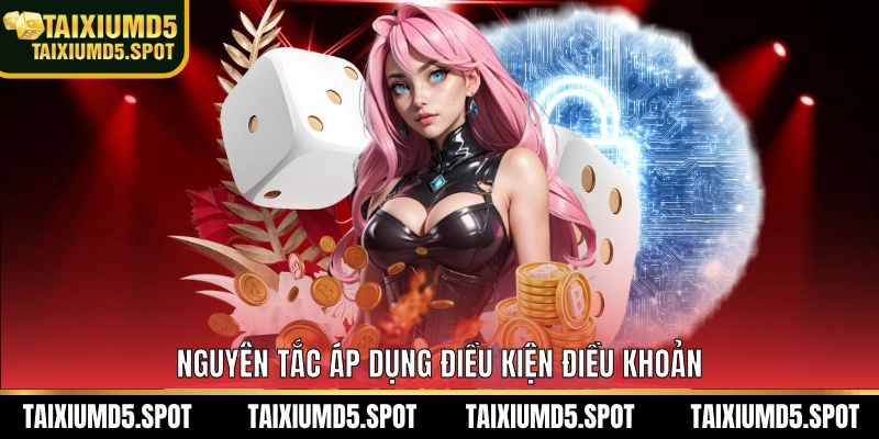 Nguyên tắc áp dụng điều kiện điều khoản