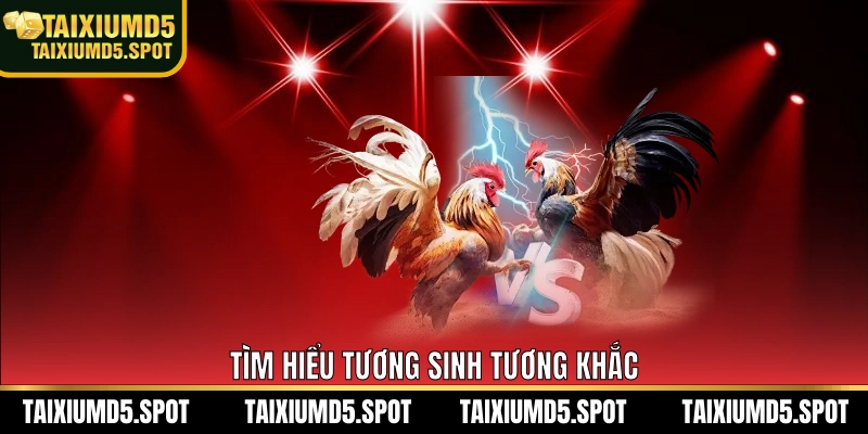 Tìm hiểu tương sinh tương khắc