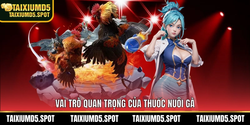 Vai trò quan trọng của thuốc nuôi gà